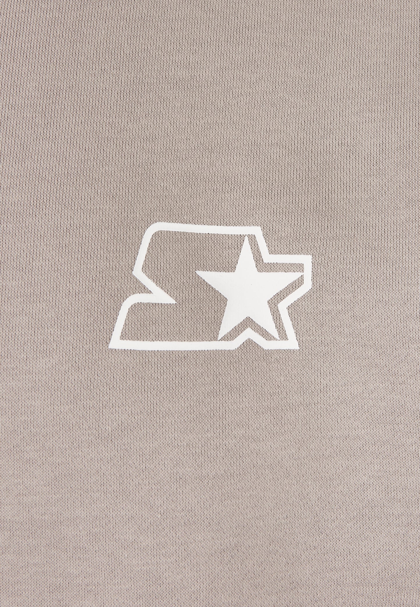 Starter Small Logo Sweater in Grau