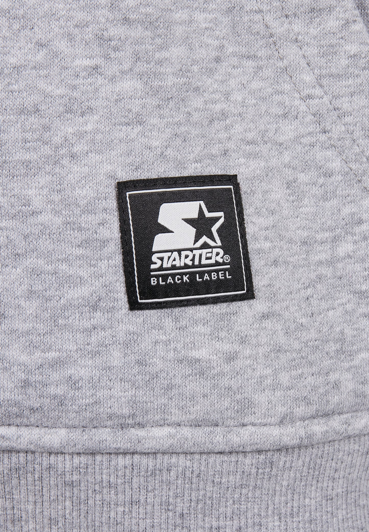 Starter Two Color Logo Hoody in Grau