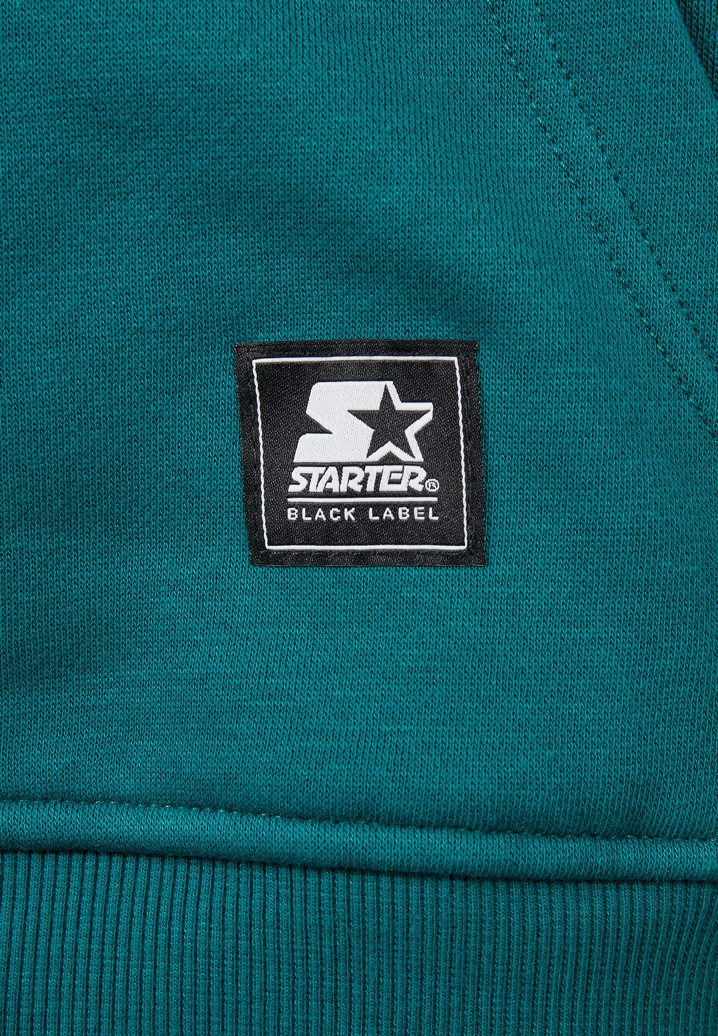 Starter Small Logo Hoody grün